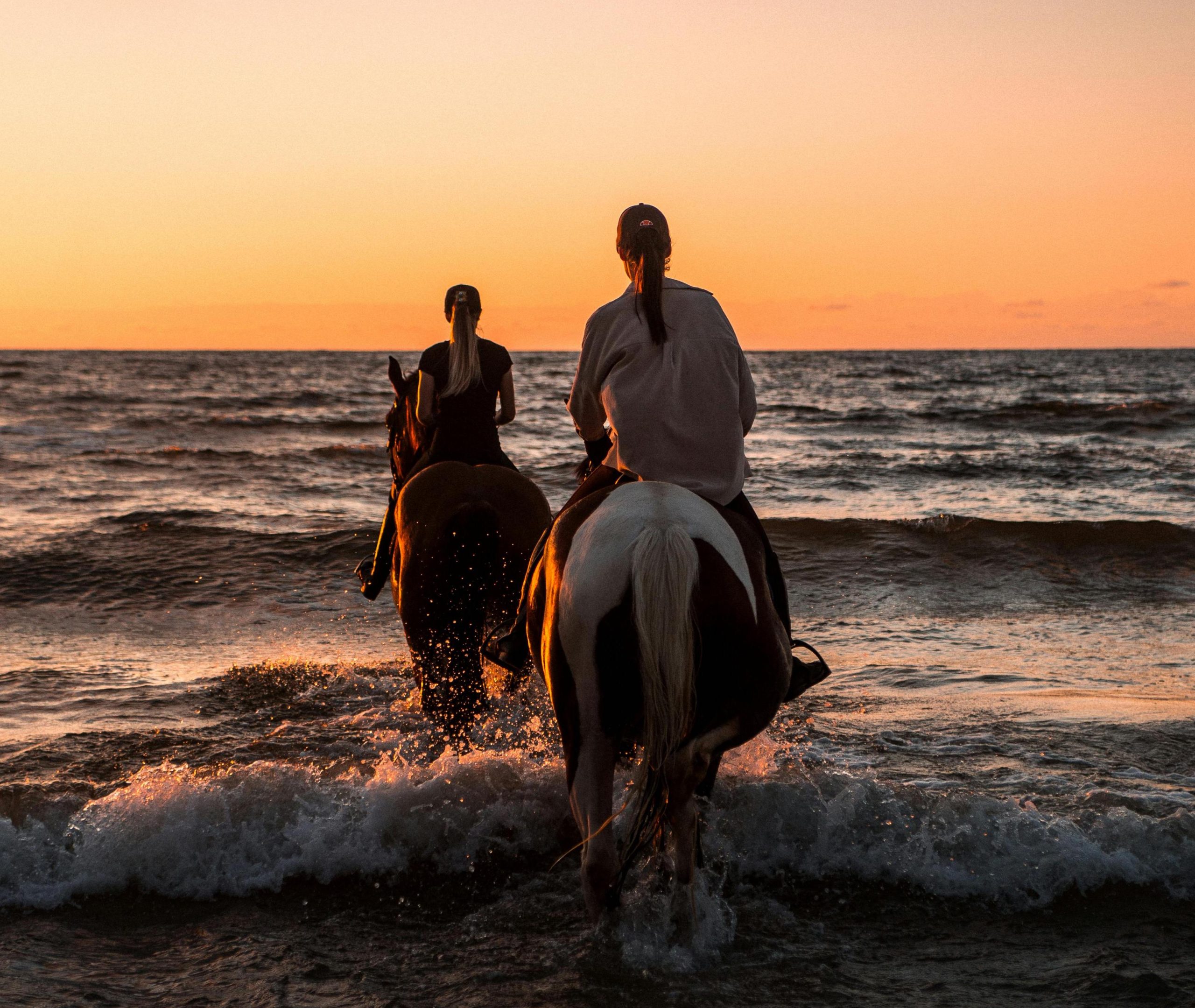 pexels-iurii-laimin-78973777-8699121